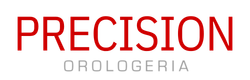 Precision srl 